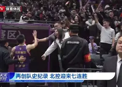 官方网站-科维托娃与莱巴金娜比赛视频回放