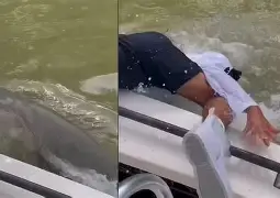 世界杯球赛中的惊险一幕成为焦点了吗 世界杯球赛中的惊险一幕成为焦点了吗