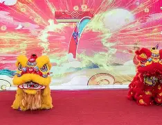 日本一线产区精华产品推荐焕发肌肤自然光彩日本